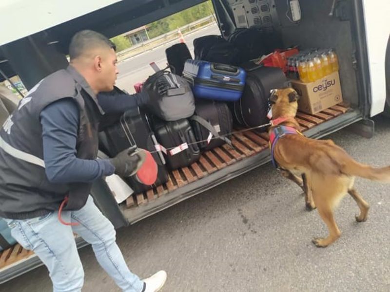 Eskişehir'de yapılan denetimlerde, 51 kişi hapis cezası bulunduğu gerekçesiyle Jandarma tarafından yakalandı.