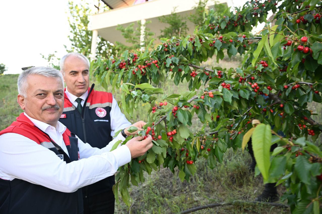 Vali Ersin Yazıcı, Yeşilyurt İlçesinde Çiftçileri Ziyaret Etti