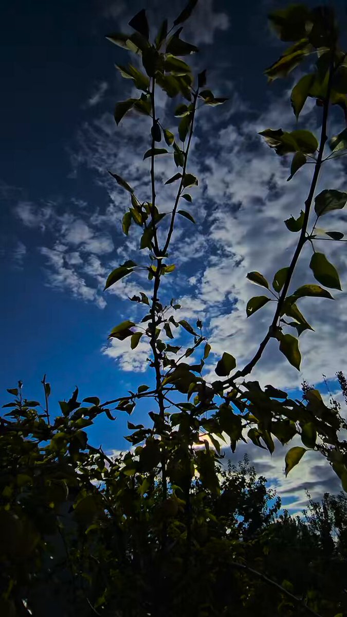 Battalgazi Belediyesi Vatandaşların İhtiyaçlarına Devamlı Olarak Müdahale Eder